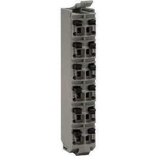 Schneider Electric - Terminal BLOCK 12 pines 24V DC gris