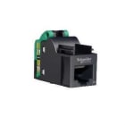 Schneider Electric - Conector RJ45 CAT5e sin apantallamiento UTP