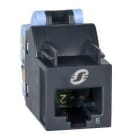 Schneider Electric - Conector RJ45 CAT6 sin apantallamiento UTP