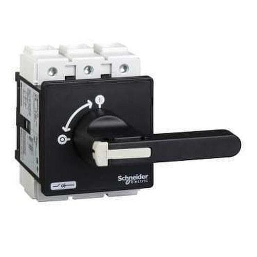 Schneider Electric - Interruptor seccionable 3P 125A principal
