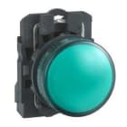 Schneider Electric - Piloto LED diámetro 22 230-240V verde embellecedor plástico