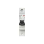 AEG BAJA TENSIÓN - INT. MAG. EH60 1P 25A C