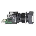 Schneider Electric - Pulsador luminoso 16 rasante impulsor 1 NA blanco cuadrado