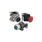 ROCKWELL - BOT N PULSADOR MOMENTANEO 30MM 800T-D6A