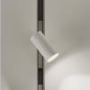 Uña del pulgar Imagen de entorno 3