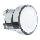 Schneider Electric - Cabeza pulsador diámetro 22 rasante sin placa blanco embellecedor metálico