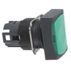Schneider Electric - Cabeza pulsador diámetro 16 rasante impulsión verde rectangular
