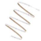 LEDVANCE - LED STRIP P HIGH VOLTAGE 230V 1300 830 50M IP66  