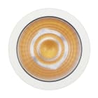 OSRAM - MOD.LED PREVALED COIN 50 COB