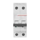 AEG BAJA TENSIÓN - INT. MAG. EN60 1P+N 32A C