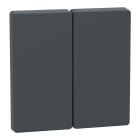 Schneider Electric - TECLA BASCULANTE 2 ELEMENTOS SW SYSTEM DESIGN ANTRACITA