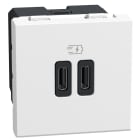 BTICINO - LW-BASE USB C+C 3A 15W 2M WH