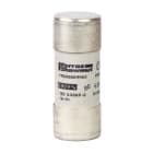 Schneider Electric - Fusibles de cartucho NFC, Tesys GS, cilíndrico, 22 mm x 58 mm, fusible tipo gG, 690 VCA, 25 A, sin percutor