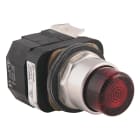 ROCKWELL - BOTÓN PULSADOR ILUMINADO 800T-QB24W 30mm