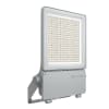 Uña del pulgar Imagen del producto 1