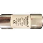WEIDMULLER - Cartucho de fusible WSFL 22x58 70A 1K5V GPV