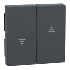 Schneider Electric - Tecla para interruptor y pulsador de persianas System M, Antracita