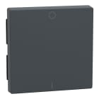 Schneider Electric - Tecla marcado 1/0 System M, Antracita