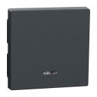 Schneider Electric - Tecla con visor System M, Antracita