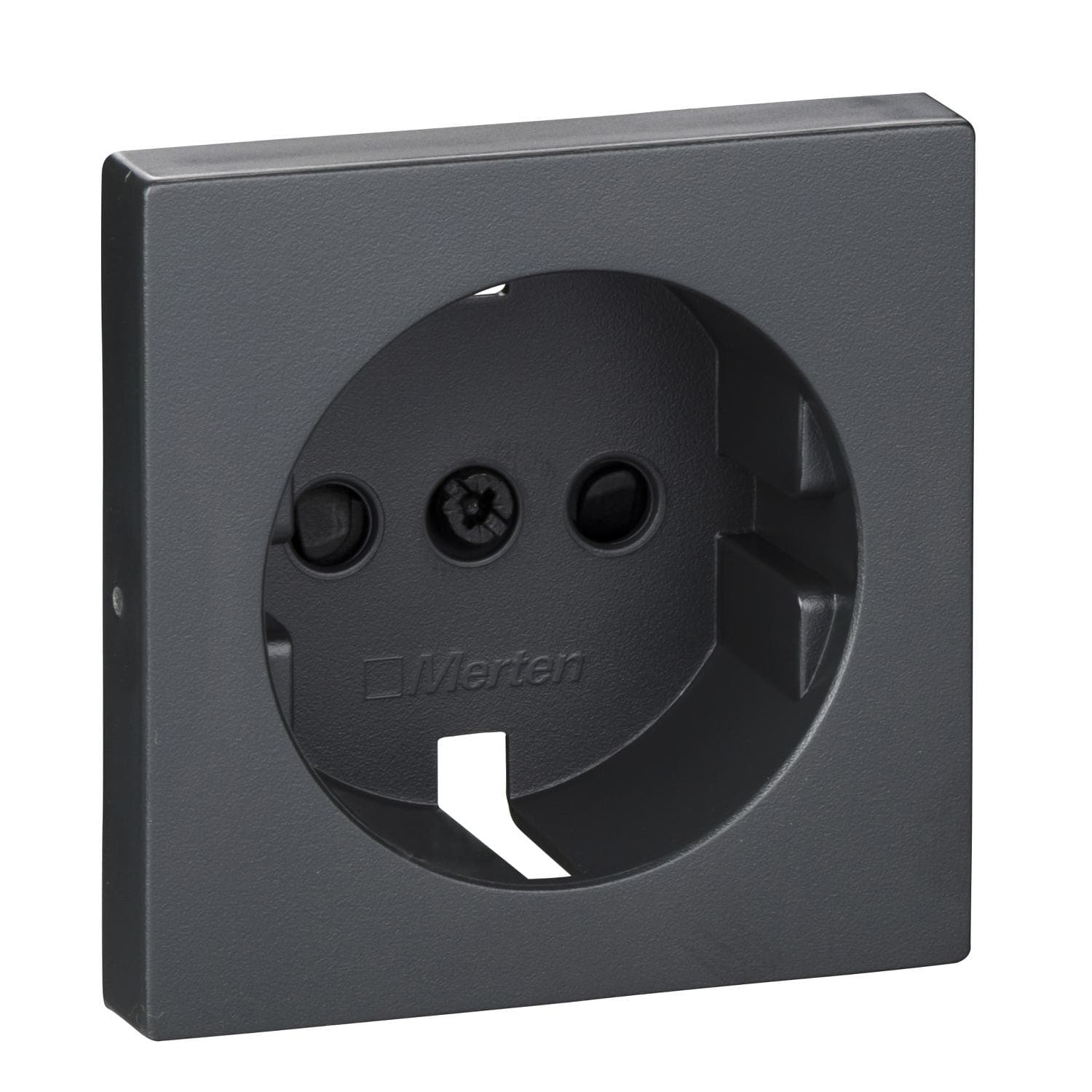 Schneider Electric - Tecla enchufe accesoria para schuko System M, Antracita