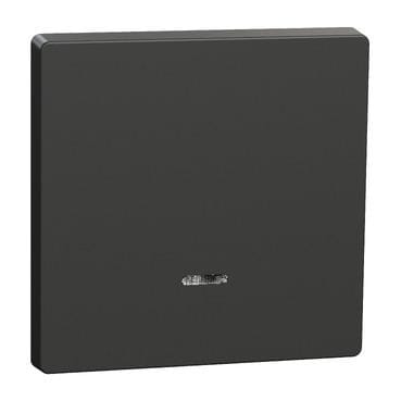 Schneider Electric - Tecla con visor, compatible con mecanismos de mando D-Life, Antracita