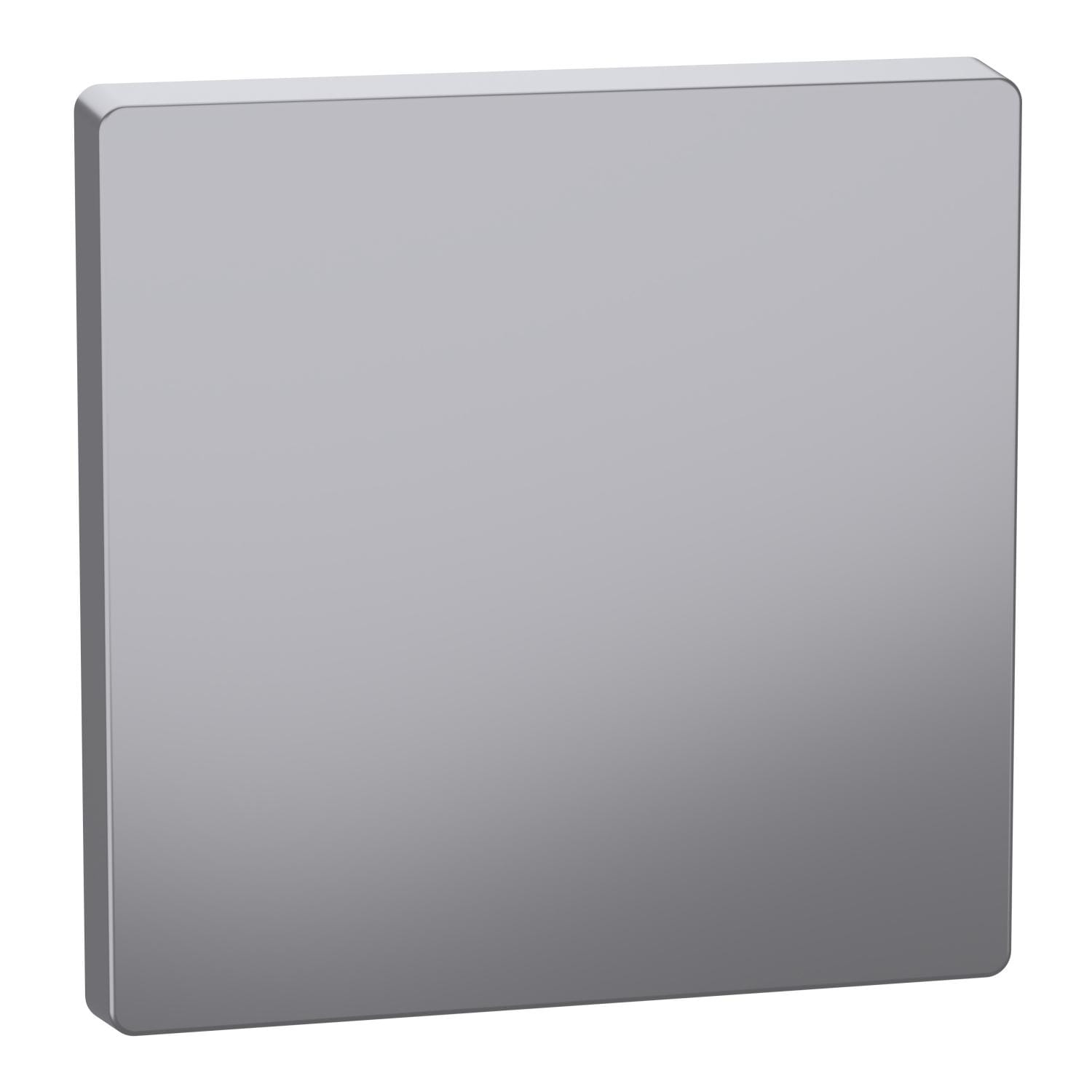 Schneider Electric - Tecla compatible con mecanismos de mando D-Life, Aluminio
