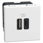 BTICINO - Base cargador doble USB Light Now Tipo A+C - 2 módulos - Blanco