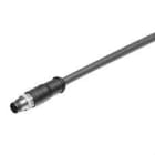 WEIDMULLER - Cable SAIL-M8G-3S5.0U