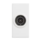 BTICINO - Base de televisión Classia - TV - intermedia - Blanco - 1mod