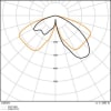 Uña del pulgar 247277697_3 4