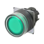 OMRON - Selector 22mm metal protegido momentáneo transparente LED verde