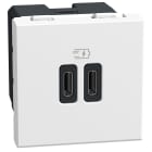 BTICINO - Base cargador doble USB Light Now Tipo C+C Power Delivery- 2 módulos - Blanco