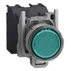 Schneider Electric - Illuminated pulsador, metal, flush, verde, ø22, spring return, booted, 24…254 v ac/dc, 1 no, atex