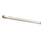 SYLVANIA - Lámpara fluorescente MINIATURA F6W/D luz día
