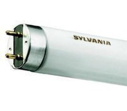 SYLVANIA - Lámpara fluorescente lineal F36W/830E