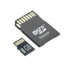 WEIDMÜLLER - Tarjeta SD-CARD-8GB