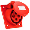Uña del pulgar Imagen del producto 1