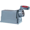 Uña del pulgar Imagen del producto 1