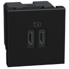 BTICINO - Base cargador doble USB Light Now Tipo C+C Power Delivery- 2 módulos - Dark