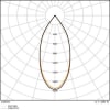 Uña del pulgar 254523938_22 13