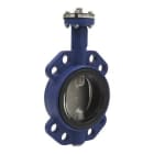 Schneider Electric - Butterfly Valve, 125 mm, 2-Way, Flanged, Lug, 316 SS, 1025 kvs