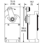 ROCKWELL - INTERRUPTOR FINAL CARRERA FIGURA 5 NEMA 22,25N 25DEG