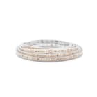 JISO - Tira LED alta eficiencia Chip 160lm/W rollo de 5 metros 12W/m 3000K necesita fuente de alimentación 24V LED SMD