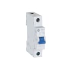 ROCKWELL - AUT.DIF.10A 188-K1C100-N