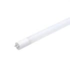 OPPLE - Tubo LED P T8 glass 600 8W 100pct 3000K CT