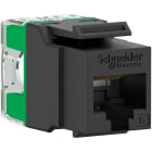Schneider Electric - Conector RJ45 Keystone UTP CAT6 negro