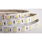 ILUTREK - Tira LED Livorno 14,4W/m IP65 4K 24V