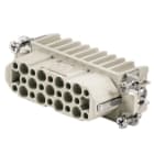 WEIDMULLER - Clavija HDC HD 25FC
