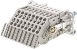 WEIDMULLER - Conector DSTV-HE-SR16 S