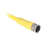 ROCKWELL - SIST.CONEX.CJTO.CBL.H 22AWG 3-2M